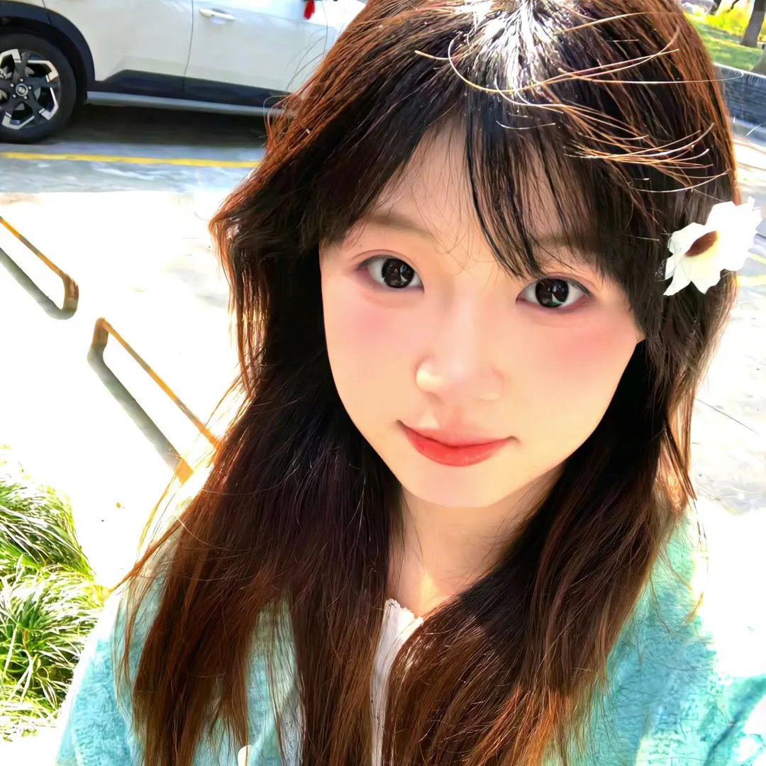 再见非洲