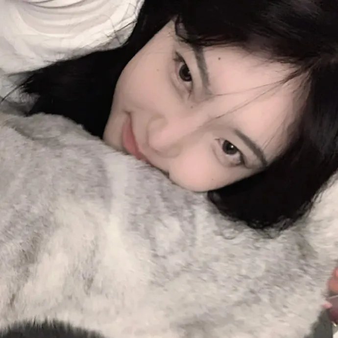 圣诞多美好